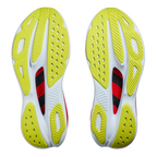 Hoka Skyward X