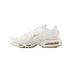 Nike Air Max Plus TN A-COLD-WALL 'Platinum Tint' (2023)