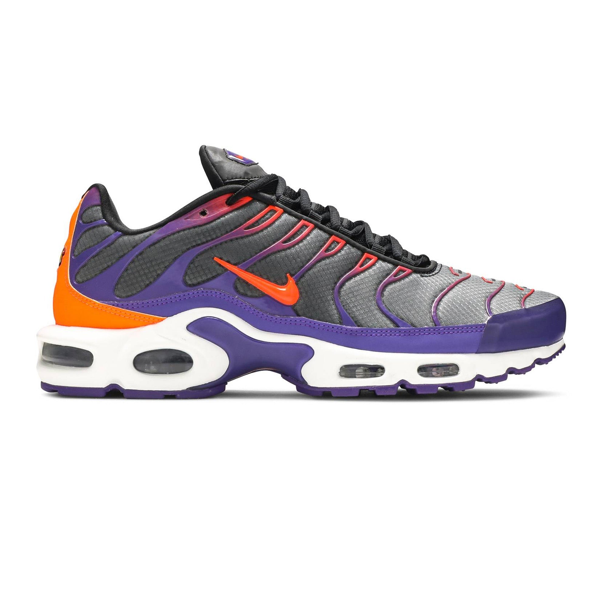 Air Max Plus TN 'Dark Colour Flip'