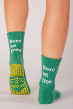 Daisy Love