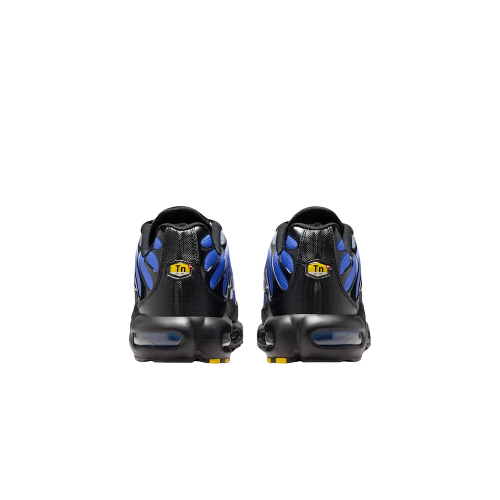 59.58