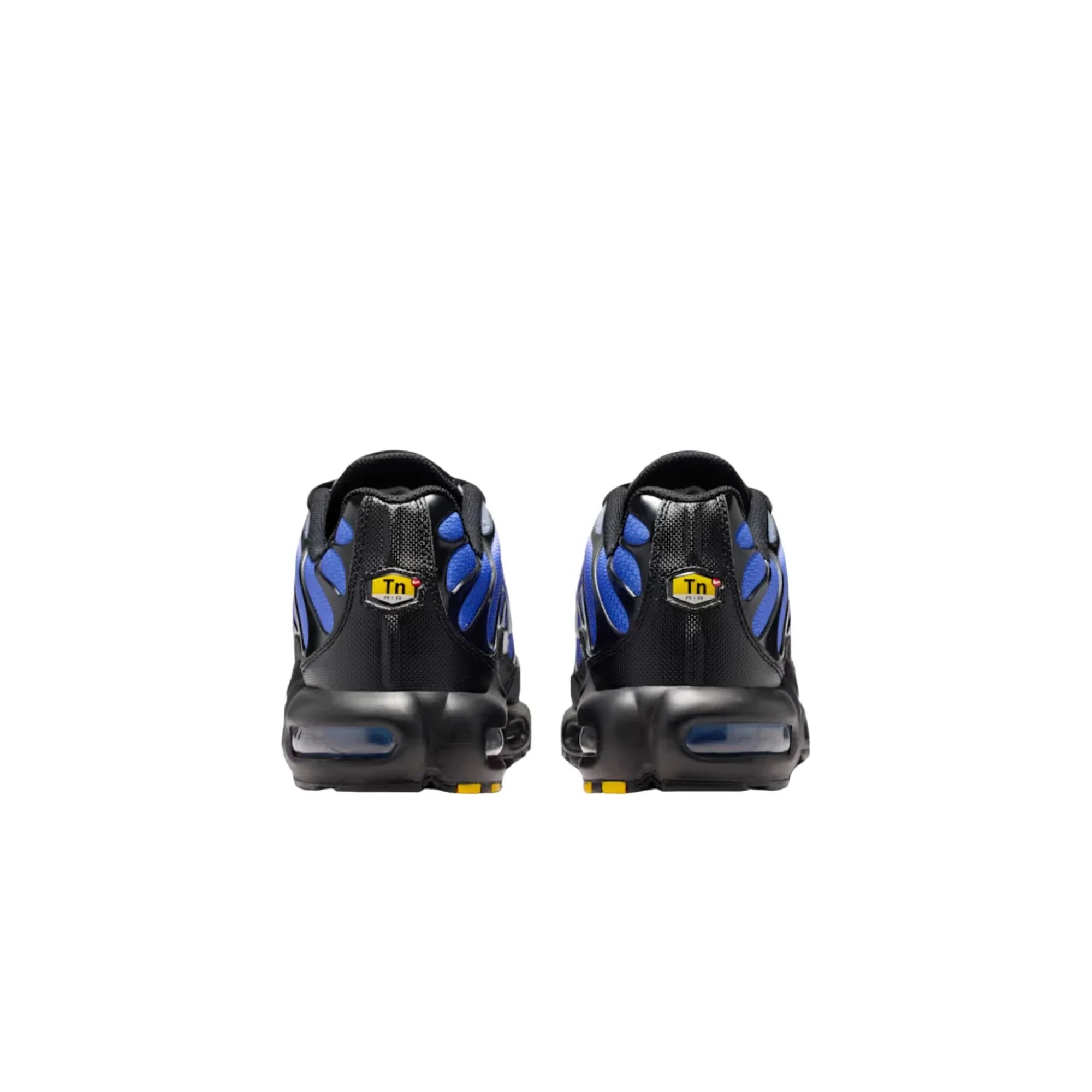 59.58