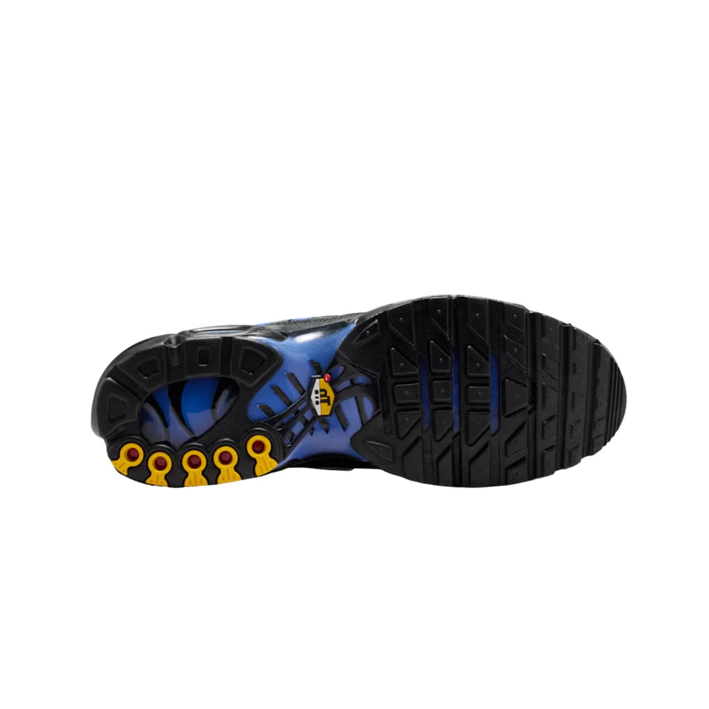 59.58
