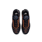 Nike Air Max Plus TN 'Dark Obsidian Monarch' (2024)