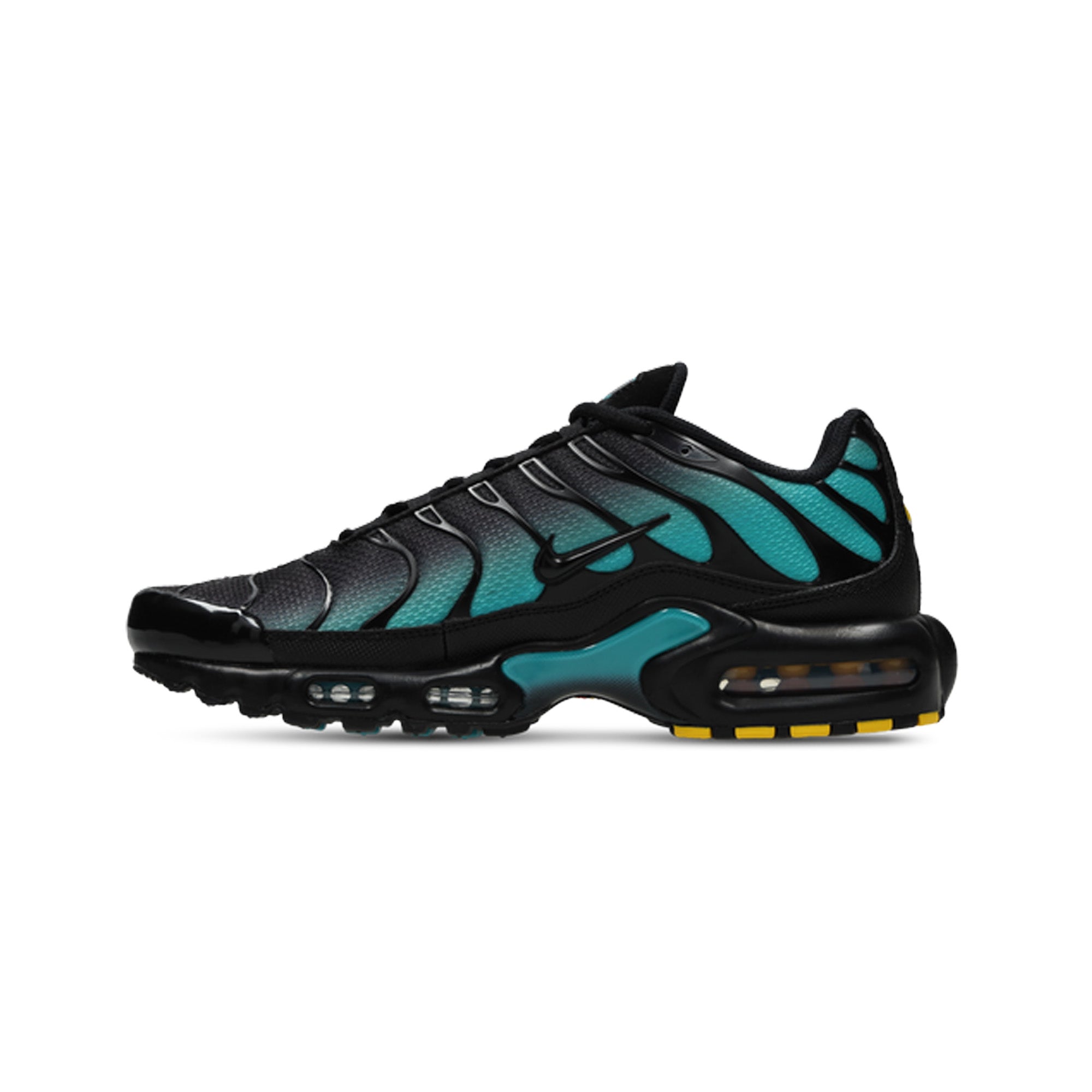 Nike Air Max Plus TN 'Black Dusty Cactus' (2025)