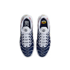 Nike Air Max Plus TN x Paris Saint-Germain 'Home Kit' (2024)