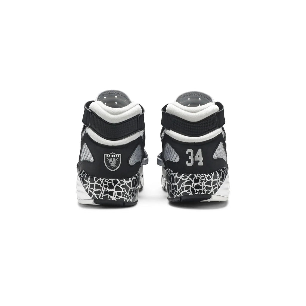 Nike Air Trainer Max 91 'Bo Knows Raiders' (2013)