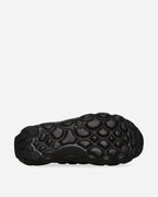 Women's Flyknit Haven Sneakers Black / Velvet Brown