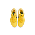 Nike Kobe 4 Protro 'CHBL'