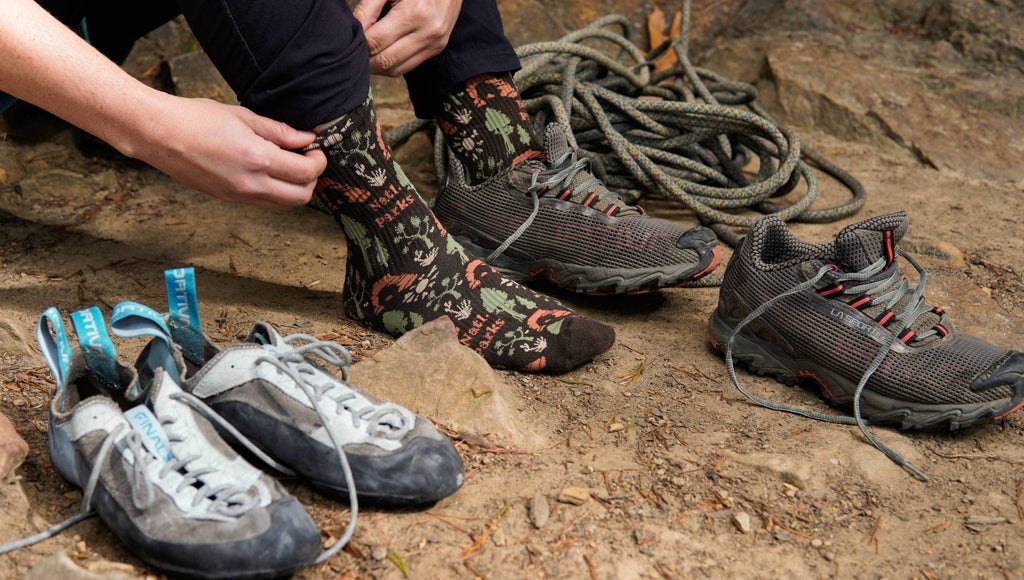 National Park Roundup Unisex Socks