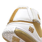 Nike LeBron Zoom 2 'Maccabi' (2022)